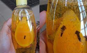 Apakah punca rambut kelemumur dan gugur? Petua Terkini Untuk Masalah Rambut Gugur Dan Kelemumur Letak Bunga Cengkih Dalam Shampoo Blog Santai Santai Jerr