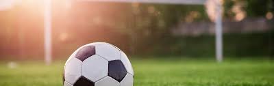 Der fußball — футбол der ball — мяч fußball spielen — играть в футбол das fußballspiel — игра в футбол der fußballmeister — чемпион по футболу. Fussball Spektrum Der Wissenschaft