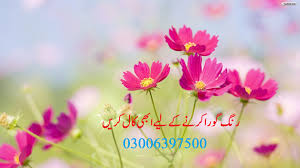 Sweet.potatoes broccoli.and.cauliflower / oven roa. Rang Gora Karne Ka Tarika In Urdu Home Facebook