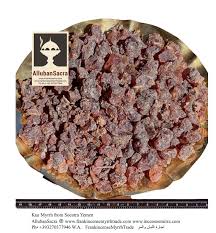 Image result for Commiphora kua