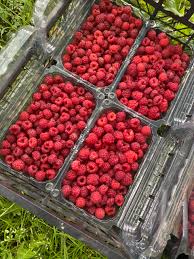 Maybe you would like to learn more about one of these? Fructe Producatorilocali Ro