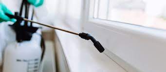 At pest pro exterminating, we like to think of ourselves as the exterminator long island can go to for all its pest needs. 59 Dubai Muncipality Certified Pest Control Companies In Dubai Mybayut