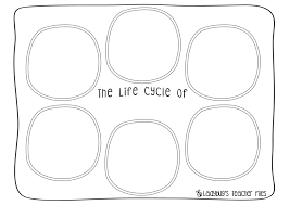 Salmon Life Cycle Poster Worksheets Life Cycles Activities Life Cycles Kindergarten Science