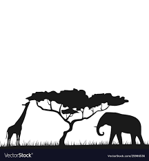Download silhouette safari animals stock vectors. Giraffe Safari Silhouette