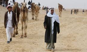 Mysterious ancient animal carvings in the saudi arabian desert | ancient architects подробнее. Camels Egypttoday