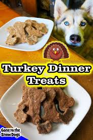 We've pulled together our guide to hosting the perfect thanksgiving dinner for dogs containing our favorite recipes as the big feast is just around the corner! Thanksgiving Dinner For Dogs Diy Dog Treats Gone To The Snow Dogs