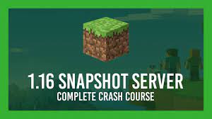 Before a full release goes live, several development snapshot versions are released.this guide explains. How To Minecraft 1 16 Snapshot Server Vanilla Free Port Forwarding Guide Youtube