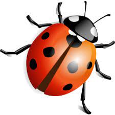 Ladybug Png3970 Png 256 256 Ladybird Ladybug Ladybug Art