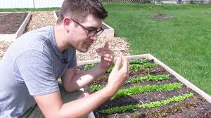 Maybe you would like to learn more about one of these? Using Molasses For Amazing Results In High Intensity Organic Gardening Youtube