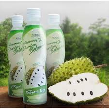 Penjagaan putik durian belanda sirsak. Soursop Juice Adraa Minuman Jus Durian Belanda Adraa Shopee Malaysia