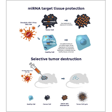 Herpes is a disease caused by two types of the herpes simplex virus (hsv):. Design Of An Interferon Resistant Oncolytic Hsv 1 Incorporating Redundant Safety Modalities For Improved Tolerability Molecular Therapy Oncolytics