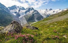 Картинки по запросу Engadin