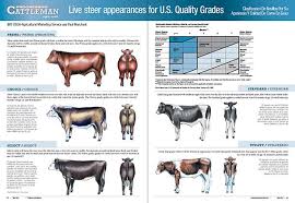 Training Posters Livestock Judging Train Posters Showing Livestock