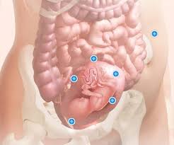 Pin On First Pregnancy