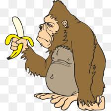 Check out our monkey transparent selection for the very best in unique or custom, handmade did you scroll all this way to get facts about monkey transparent? Monkey Banana Png Monkey Banana Design Monkey Banana Bars Cleanpng Kisspng
