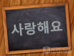 Di samping romanisasi mengikuti aturan romanisasi yang baku (revised romanization), lirik bahasa korea yang disajikan dalam blog ini juga menyajikan transkripsi menggunakan ejaan bahasa. Bahasa Korea Aku Cinta Kamu Lengkap Kalimat Romantis Info Menarik