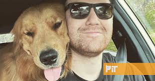 Golden Retriever é filmado a aquecer tutor anémico após sentir que algo  estava errado