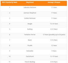 Which Breeds Live The Longest