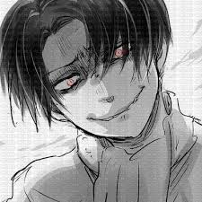 Levi Ackerman SNK, snk , attack , on , titan , rouge , noir , blanc , levi  , ackerman , sarah24 , manga - Free PNG - PicMix