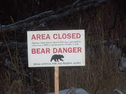 Born today most popular celebs most popular celebs celebrity news. Bear Danger Wikipedia