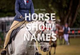 Big darryl is happy it's not blazing hot 🥵 this weekend. Show Names For Horses Top Show Names And Names A Z Horse Faq S