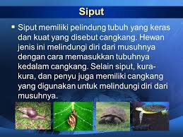 Semakin mampu seseorang terbuka mengadaptasikan dirinya dengan budaya, bahasa dan kebiasaan lain, maka semakin jauh seseorang dari rasa asing. Penyesuain Diri Makhluk Hidup Ppt Download