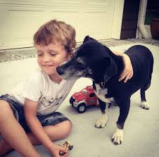 the story of Winnie - Dadcation