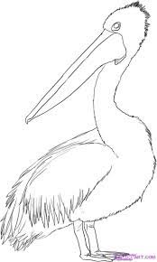 Pin By Jennifer Searcy On Line Drawings For Literacy Pelican Art Pelican Drawing Art