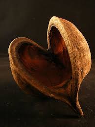 Pin By Diane Lebaron On Wabi Sabi Heart In Nature Heart Images Heart Shapes