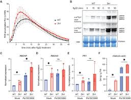 Linker histone H1 regulates defense priming and immunity in plants