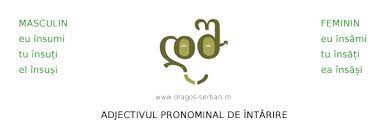 Eu însumi am scris această povestire. Adjectivul Pronominal De IntÄrire Exemple Dragos Serban