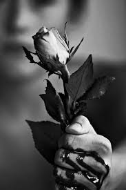No need to register, buy now! Why Does Love Hurt Herinterest Com