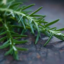 1300), from latin rosmarinus, literally dew of the. Does Rosemary Actually Improve Your Memory And Cognition