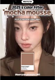 Pantone Filter Name Paula