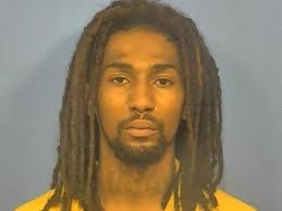 Man Accused Of Stealing Car From Garage In Downers Grove