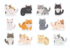 Understanding how is challenging because many genes are involved. Jeevoka The Magical World Of Cat Colours