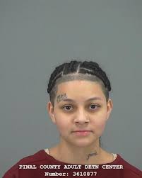 Pinal County Sheriff's log 12/22/23