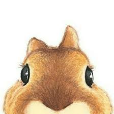 Botones Rabbit Illustration Rabbit Art Bunny Drawing