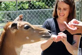 Cleveland is a city and the county seat of white county, georgia, united states, located 90 miles northeast of atlanta and 128 miles southea. North Georgia Wildlife Park 2912 Paradise Valley Rd Cleveland Ga Banquet Rooms Mapquest