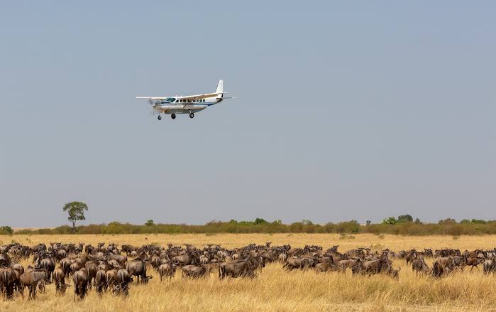 7 Day Fly-in Safari From Zanzibar