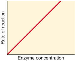 Chemistry For Biologists Enzymes