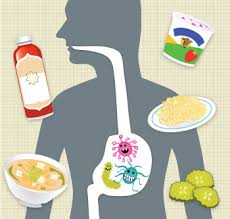 Fermented Cultured Foods The Surprising Health Benefits Pcc Community Markets