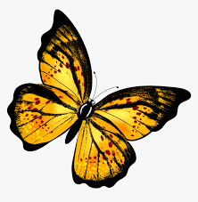 Png Of A Yellow Butterfly Yellow Butterfly Png Transparent Png Transparent Png Image Pngitem