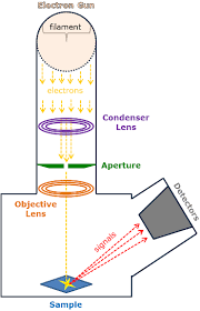 Scanning Electron Microscopy Instrumentation Analysis