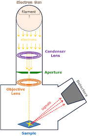 scanning electron microscopy instrumentation analysis