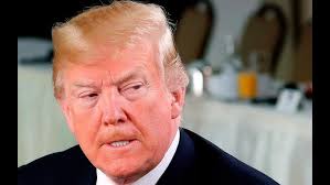 Weedeater mower project