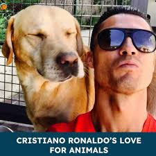 Actress Demi Moore is fostering three baby ducklings who lost their mom.  Her tiny dog Pilaf is already a big help — the ducklings follow him around  and seem to love their