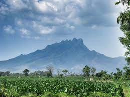 Yaudh, langsung pasang aja #fda #situbondo #gunungputritidur good morning, itu si putri masi tidur. Gunung Ringgit Gunung Bagging