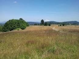 Things to do near powell butte nature park. Horrible Park Review Of Powell Butte Nature Park Portland Or Tripadvisor