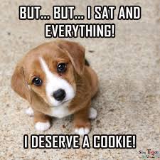 Awwwwww Funny Dog Memes Cute Dog Quotes Cute Animal Memes